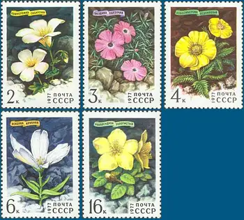 5 бр./компл. Нова Пощенска марка на СССР CCCP 1977 Сибирски Rhododendron Пощенски Марки MNH